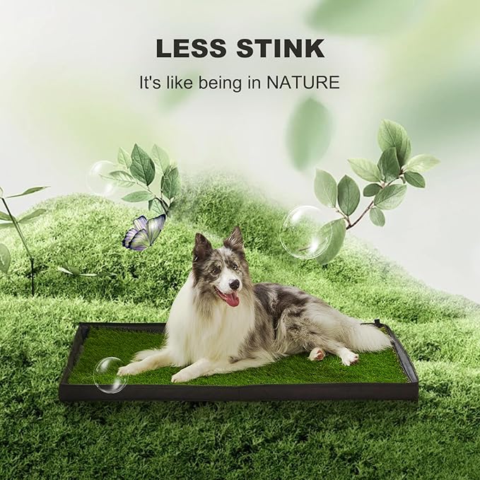 Dog Grass Pad with Foldable Dog Litter Box, Extra Large Liner Base (44”×34”) for Balcony, 2 Artficial Grass Pee Pads for Dogs, Pee Pad Holder, Potty Training-Mewly Pet