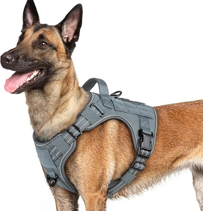 rabbitgoo Dog Harness for Large Dogs No Pull, Tactical Service Pet Vest with Molle and Control Handle, Adjustable and Reflective Military Harness for Easy Walking and Training, Grey, L-Mewly Pet