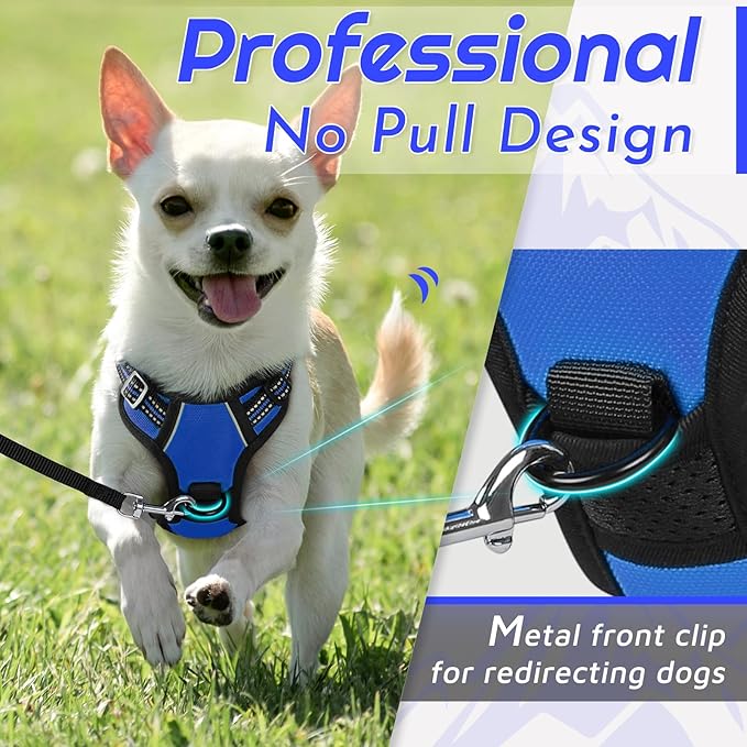Eagloo Small Dog Harness No Pull, Service Vest with Reflective Strips and Control Handle, Adjustable and Comfortable for Easy Walking, No Choke Pet Harness with 2 Metal Rings, Blue, XS-Mewly Pet