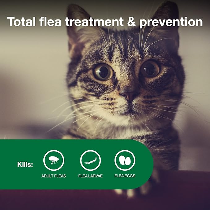 Advantage II Small Cat Vet-Recommended Flea Treatment & Prevention | Cats 5-9 lbs. | 8-Month Supply-Mewly Pet