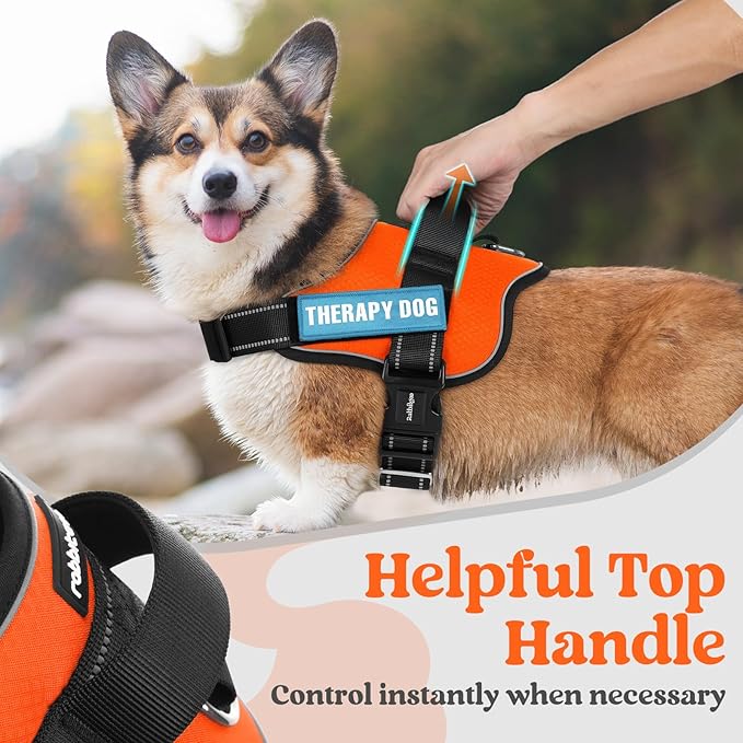 rabbitgoo Dog Harness for Large, Easy On Pet Vest with One Buckle, No Pull Adjustable Service Harness with D-Ring & Handle, Reflective for Safety Walking, Training, Orange, L-Mewly Pet