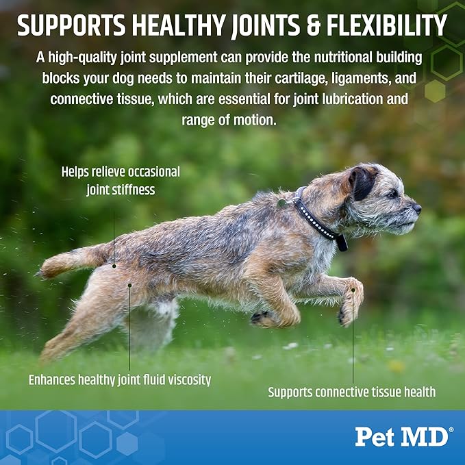Pet MD Glucosamine for Dogs | Dog Joint Supplement with Glucosamine, Chondroitin & MSM - Inflammatory Pain Relief Chews for Hip & Joints - Bacon Flavored - Includes Yucca & Turmeric - 120 Ct-Mewly Pet