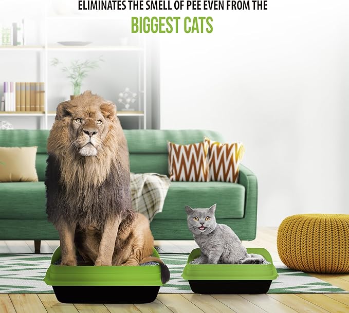 Skoon All Natural Cat Litter (3 Bags) - Original - Lightweight, Low Tracking, Non-Clumping Diatom Pebbles Absorb, Lock, and Seal Waste for Best Odor Control-Mewly Pet