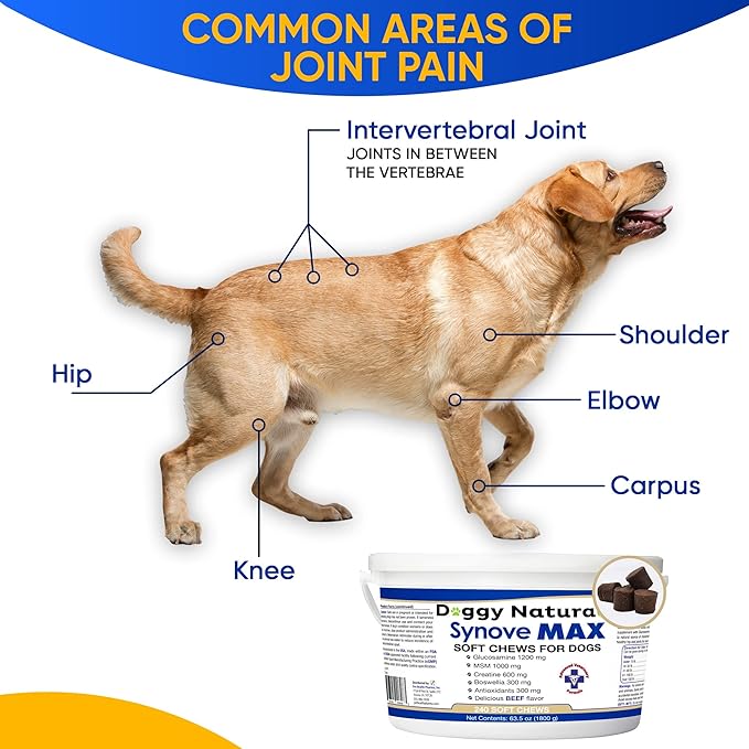 Synove Max Soft Chews for Dogs (240 Count) Beef Flavor, Joint Supplement, Glucosamine, Turmeric, Boswelllia serrata, Creatine Naturally Derived Ingredients better than synovi g4 soft chew-Mewly Pet