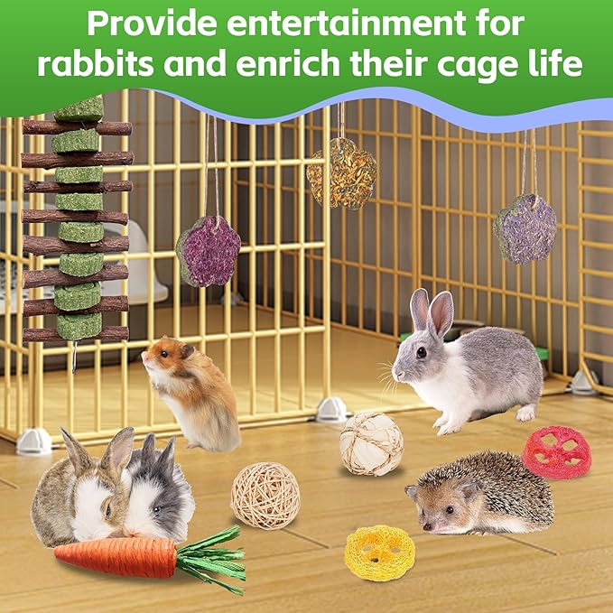 WDEFUN 21-Piece Natural Small Pet Chew Toys Set for Rabbits, Hamsters & Organic Grass Mat, Hay Sticks, Loofah Slices, Wooden Chews & More for Dental Health & Boredom Relief-Mewly Pet
