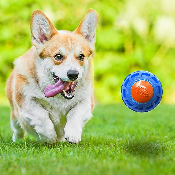 Nerf Dog 3in TPR EXO Squeak Ball - Blue/Orange-Mewly Pet