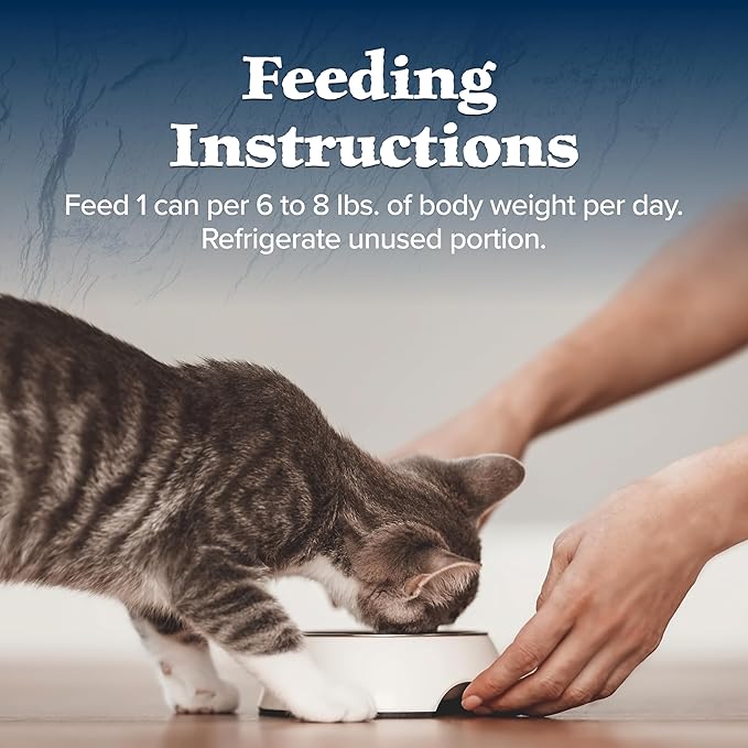 Blue Buffalo Wilderness Rocky Mountain Recipe Natural High Protein Wet Food for Adult Cats, Trout in Tasty Gravy, 5.5-oz cans, Pack of 24-Mewly Pet