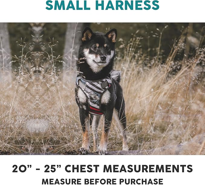 Embark Adventure Dog Harness, Reflective Trim No Pull Dog Harnesses for Small Sized Dogs - Military Grade Nylon, Front Clip with Gel Lined Handle.-Mewly Pet