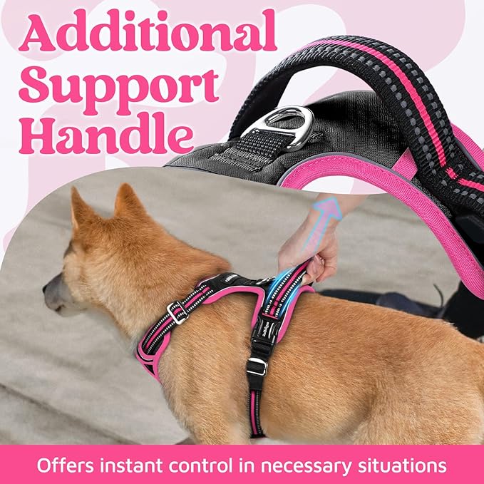 rabbitgoo Dog Harness Small Sized, No Pull Dog Vest with 3 Buckles, Adjustable Soft Padded Pet Harness with Easy Control Handle and Reflective Strips, Black & Rose Pink, S-Mewly Pet