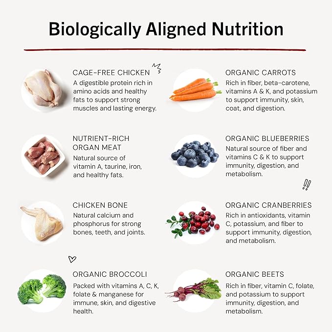 Stella & Chewy's Freeze-Dried Raw Dinner Patties - Chicken Recipe - High Protein Grain-Free Puppy & Dog Food - Perfect For Picky Eaters - 25 oz-Mewly Pet