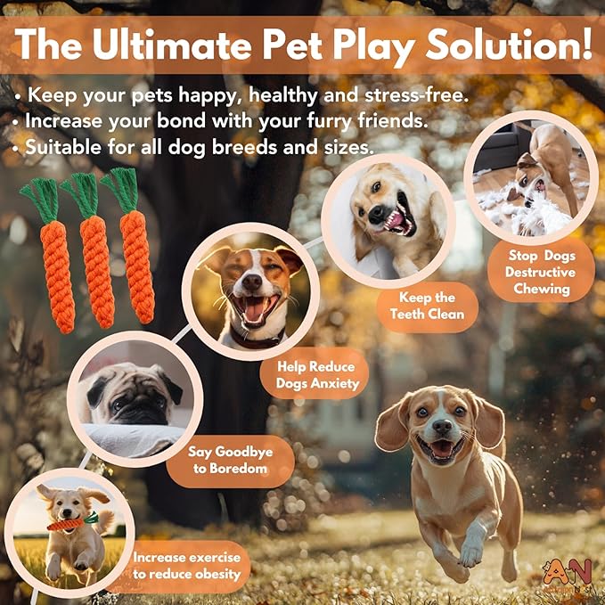 3PCS Orange Woven Pet Chew Set, Puppy Teething Chews, Dog Chew Treats, Cat Teething Playset, Safe Braided Chews for Pets, Durable & Interactive-Mewly Pet