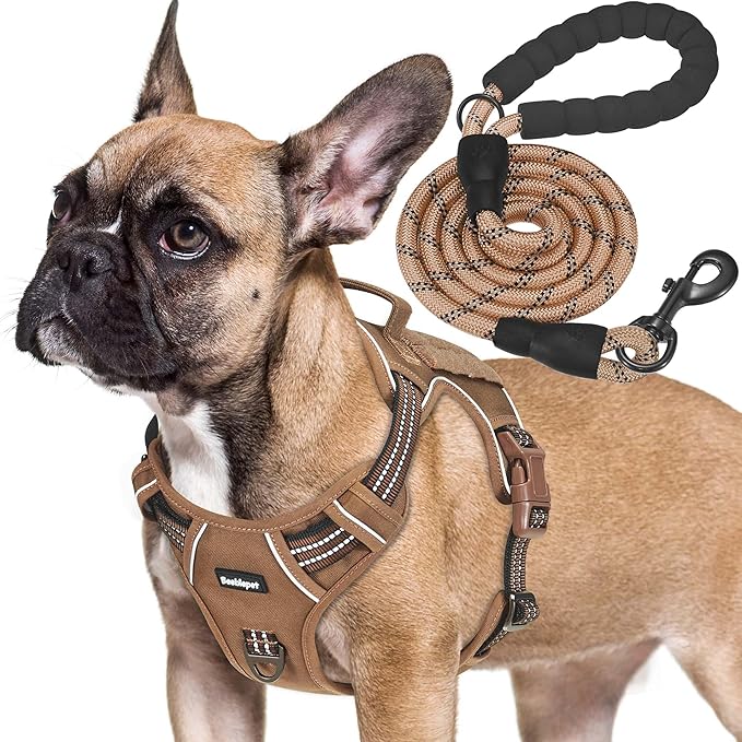 Heavy Duty Tactical Dog Harness for Medium Dogs, Brown, Molle System, Four-point Adjustment, Anti-lost ID Tag, Includes 5ft Leash-Mewly Pet
