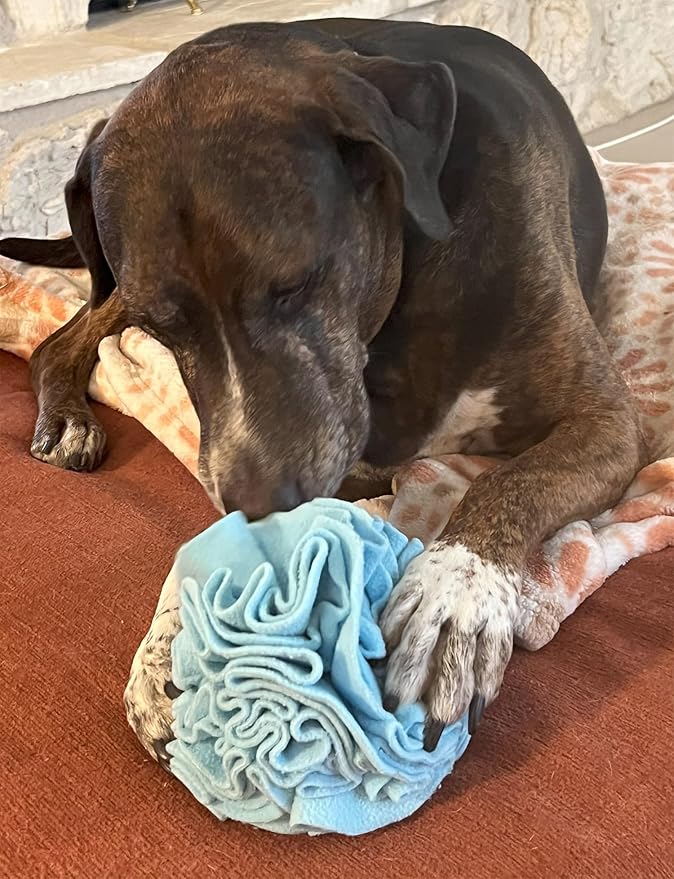Medium Breed Snuffle Interactive Foraging Dog Puzzle Ball Toy Blue Large-Mewly Pet