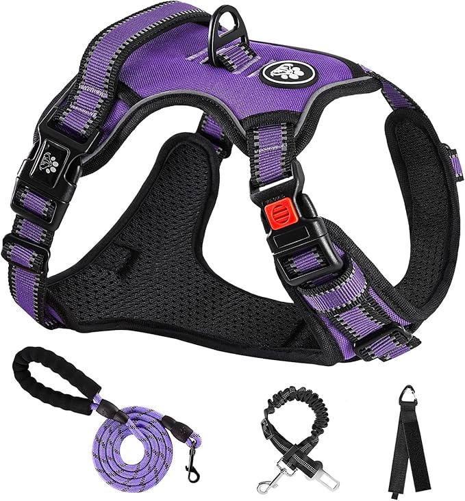 NESTROAD No Pull Dog Harness,Adjustable Oxford Dog Vest Harness with Leash,Reflective No-Choke Pet Harness with Easy Control Soft Handle for Large Dogs(Large,Purple)-Mewly Pet