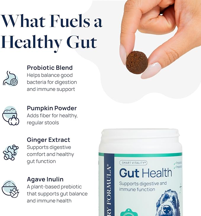 Veterinary Formula Gut Health Supplement for Dogs – Vet-Formulated Probiotic Chews with Digestive Enzymes & Fiber – Smart Vitality Supports Digestive Health, Gut Balance & Stool Quality, 60 Soft Chews-Mewly Pet