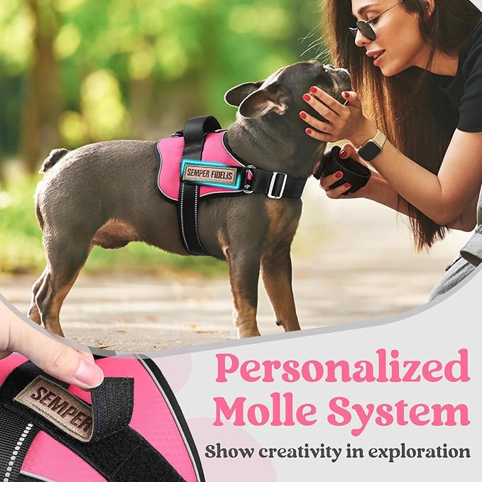 rabbitgoo Dog Harness for Large, Easy On Pet Vest with One Buckle, No Pull Adjustable Service Harness with D-Ring & Handle, Reflective for Safety Walking, Training, Pink, XL-Mewly Pet