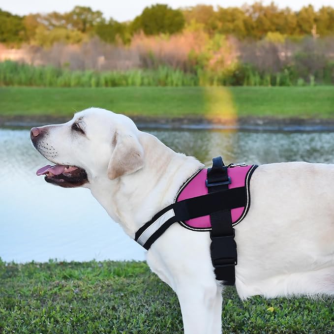Dogline Reflective No-Pull Adjustable Vest with Handle for Walking, Training, Service Breathable No - Choke Harness for Small, Medium or Large Dogs Room for Patches Girth 15 to 18 in Pink-Mewly Pet