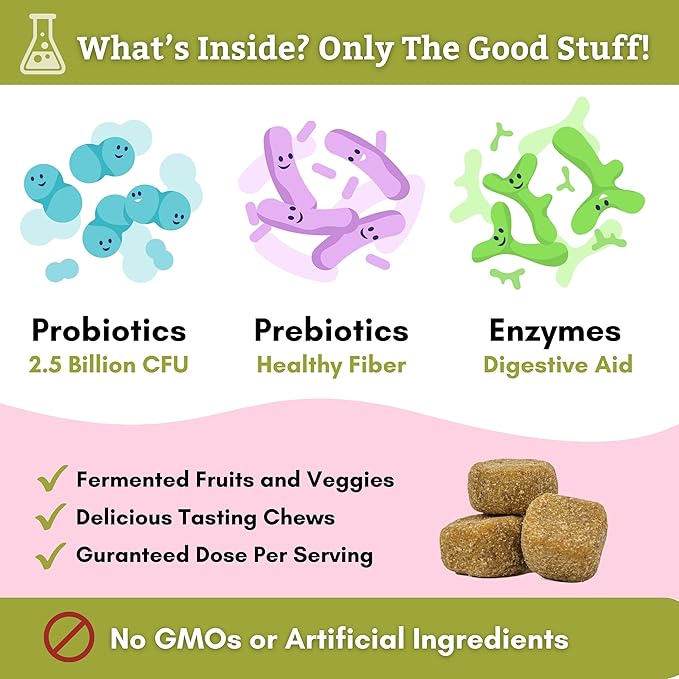 Wholistic Pet Organics: Probiotic Chews for Dogs Digestive Health - 60 Count - Dog Probiotics and Digestive Enzymes - Support Gut Health Immune Supplement Prevents Dog Digestive Problems-Mewly Pet