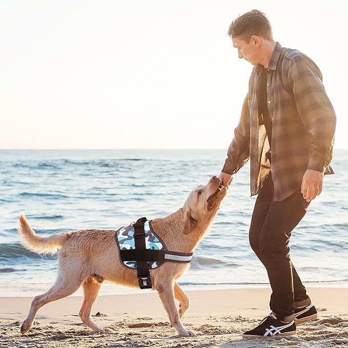 Dogline Dog Harness, Reflective No-Pull Adjustable Vest with Handle for Walking, Training, Breathable, No - Choke Harness for Small, Medium or Large Dogs Room for Patches Girth 27 to 34 in Blue Camo-Mewly Pet