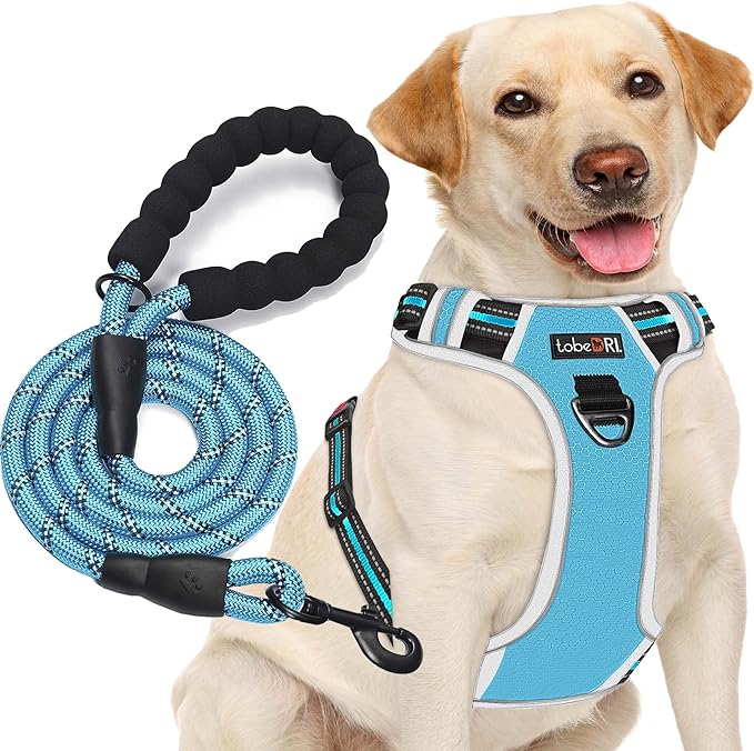 No Pull Dog Harness Adjustable Reflective Oxford Easy Control Medium Large Dog Harness with A Free Heavy Duty 5ft Leash-Mewly Pet