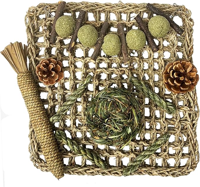 Hamiledyi Rabbit Seagrass Mat Bunny Chew Toys for Teeth Hanging Activity Mat Rabbit Enrichment Activity Mat Small Animal Toys for Hamster Guinea Pigs Gerbil Birds-Mewly Pet