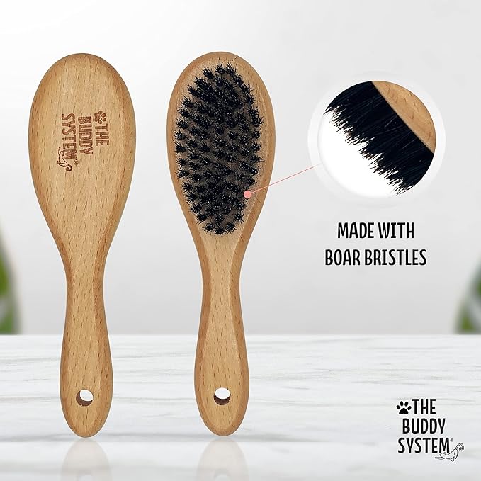 The Buddy System Cat Brush with Boar Bristle and Wooden Handle, Professional Grade Daily Grooming Hairbrush, Reduce Shedding, Soft Hair and Healthy Shine (1 Pack)-Mewly Pet