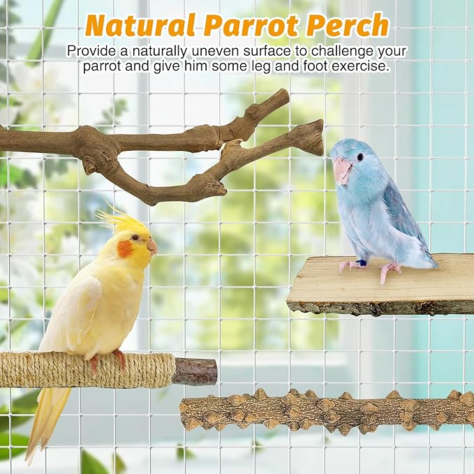 kathson 5pcs Natural Parrot Perch for Cage Wooden Bird Perches Grape Bird Stick Parakeet Climbing Standing Branches Toy Chewable Cage Accessories for Small Budgies Cockatiels-Mewly Pet