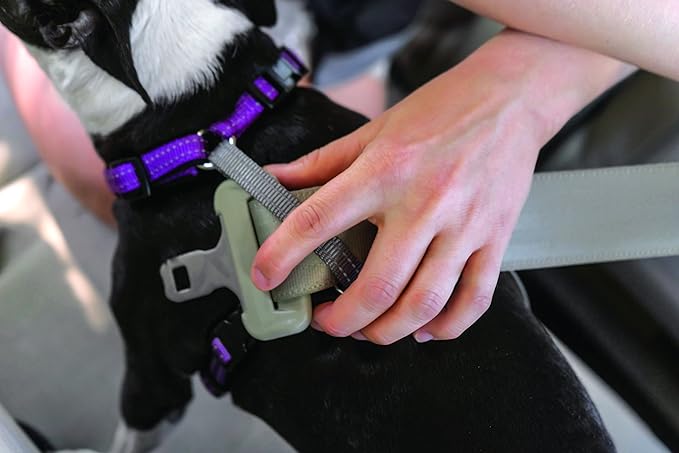 PetSafe 3 in 1 Dog Harness - No Pull Solution for Dogs - Reflective Dog Harness - Front D-Ring Clip Helps Stop Pulling - Comfortable Padded Straps - Top Handle Enhances Control - Plum - Large-Mewly Pet