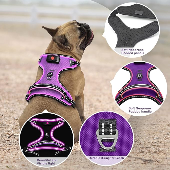 Light Up Dog Harness, No Pull LED Dog Harness with Handle, Rechargeable Lighted Safety Vest for Small Medium Large Dogs, Adjustable Soft Dog Lights for Night Walking-Mewly Pet