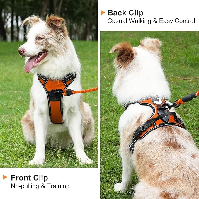 Taglory Light Up Dog Harness, Rechargeable No Pull Dog Vest with 3 Lightning Modes, Reflective Dog Harness with 2 Leash Clips & 4 Adjustable Slide Strips for Large Dogs, Orange-Orange, L-Mewly Pet