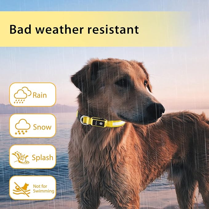 PcEoTllar Light up Dog Collar for Night Walking - LED Dog Collar Light Rechargeable Color Changing, Glow in The Dark Dog Collars Waterproof Glowing Dog Collars for Large Small Medium Dogs-Mewly Pet