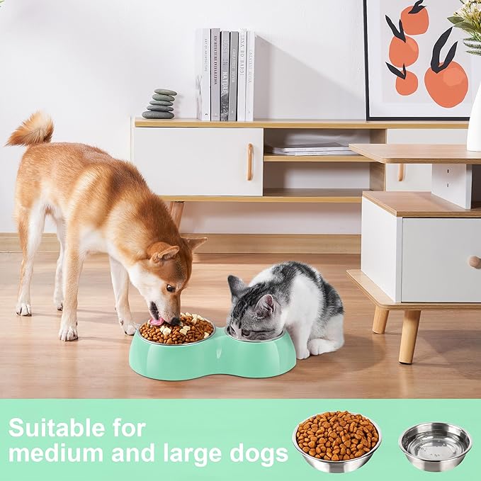 Elevated Dog Bowls Set - Non-Slip Raised Pet Feeder with Medium (2 Cups) & Large (4 Cups) Stainless Steel Bowls - Includes Durable Resin Stand for Puppies, Adult Dogs & Cats - Green-Mewly Pet