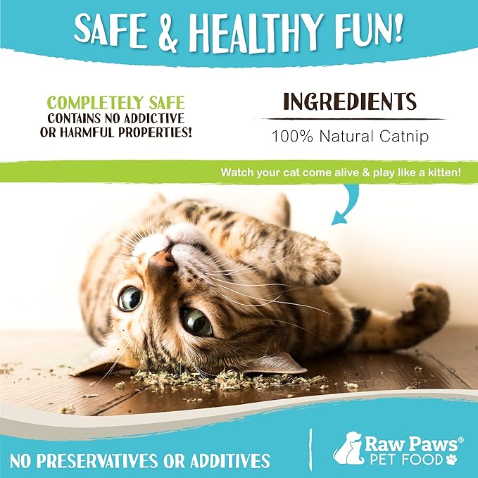 Raw Paws Fresh Catnip for Cats, 1-oz (2 Cups) - Use for Refillable Catnip Toys for Cats - Natural Dried Cat Nip-Mewly Pet