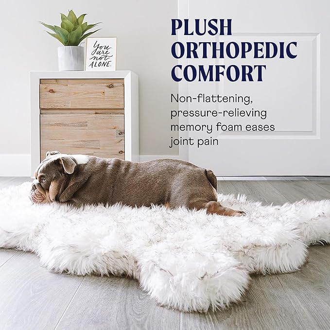 PupRug Orthopedic Dog Bed for Large Dogs with Fluffy Soft Faux Fur and Memory Foam for Joint Pain Relief, Machine Washable and Waterproof Couch Bed, White with Brown Accents, Medium-Mewly Pet