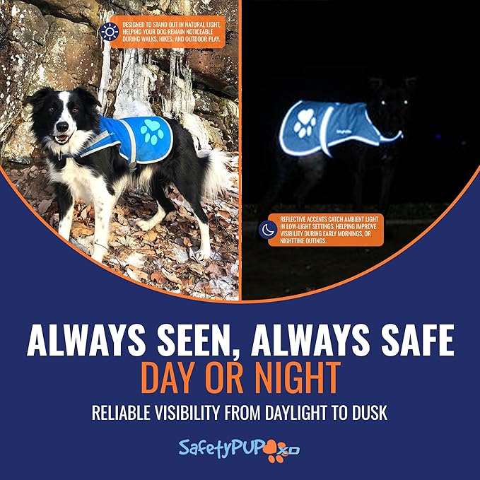 Dog Reflective Vest – Hi-Vis Fluorescent Visibility That Helps to Safeguard Your Pet On/Off Leash in Urban & Rural Areas (Blue, Medium)-Mewly Pet