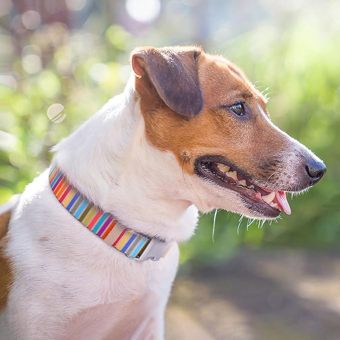 AirTag Dog Collar for Small Medium Large Breed - Adjustable Cute Pattern Dog Collar with Airtag Holder - Soft Leather Tracker GPS Apple Air Tag Pet Collars (X-Small, 9"-12" Neck Fit, Serape)-Mewly Pet