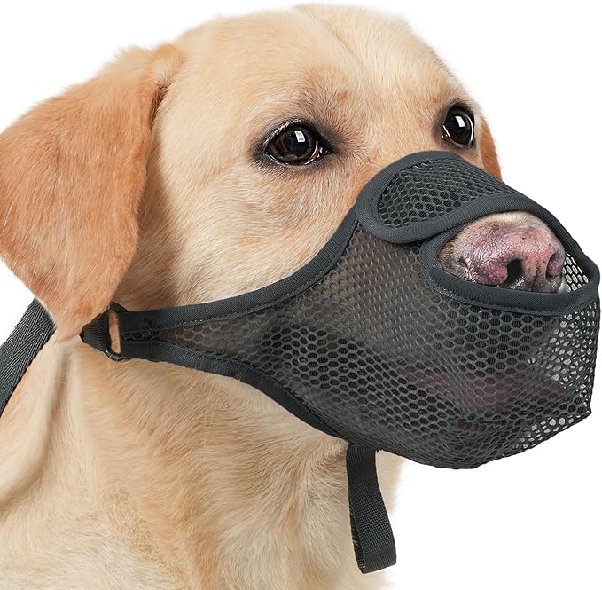 LUCKYPAW Dog Muzzle for Large Medium Small Dogs, Patented Mesh Muzzle to Prevent Biting Chewing Eating, Soft Mouth Guard with Front Opening Design for Drinking Panting(Black, S)-Mewly Pet