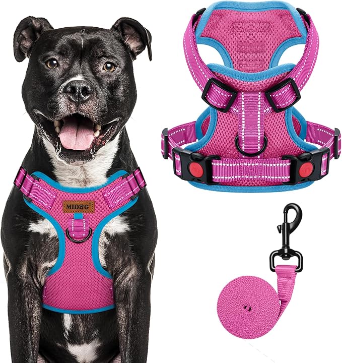 MIDOG No-Pull Dog Harness | Adjustable & Reflective Pet Harness Leash Set for Small Medium Large Dogs Walking, Training| No Choke, Front Clip, Soft Padded Vest with Easy Control Handle - Pink, L-Mewly Pet