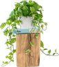 ROVALA Silk Plants for Home Decor Indoor in Pot Realistic Artificial Plants Fake Hanging Plants Faux Plants Indoor Fake Potted Plants Fake Plants for Shelves Bathroom Plants, Fake Pothos (Light Green)