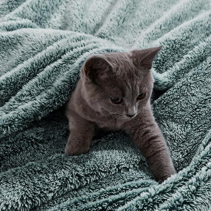 Exclusivo Mezcla Plush Fuzzy Fleece Throw Blanket Extra Large, Super Soft, Fluffy and Warm Blankets for Couch, Bed, Suitable for All Seasons (50x70 Inches, Mixed Green)