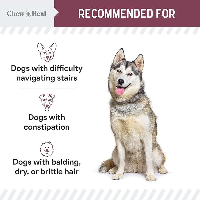 12-in-1 Multivitamin for Senior Dogs - 60 Senior Dog Vitamin and Supplement Soft Chews for Hip and Joint - Advanced Formula with Glucosamine, Omega 3,6,9, Vitamins, Probiotics - Made in The USA-Mewly Pet