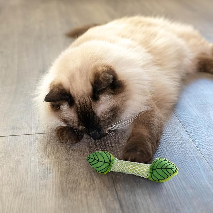 Petstages Fresh Breath Mint Stick Dental Cat Chew Toy-Mewly Pet