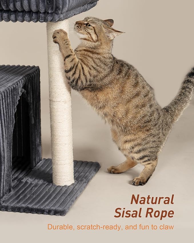 Cat Tree for Large Cat, 22.8” Cat Tower with Scratching Post, 20.9 * 15.7in Perch Bed for Adult Cats, Cat Condo with 2 Caves for Indoor Cats, Dark Gray-Mewly Pet