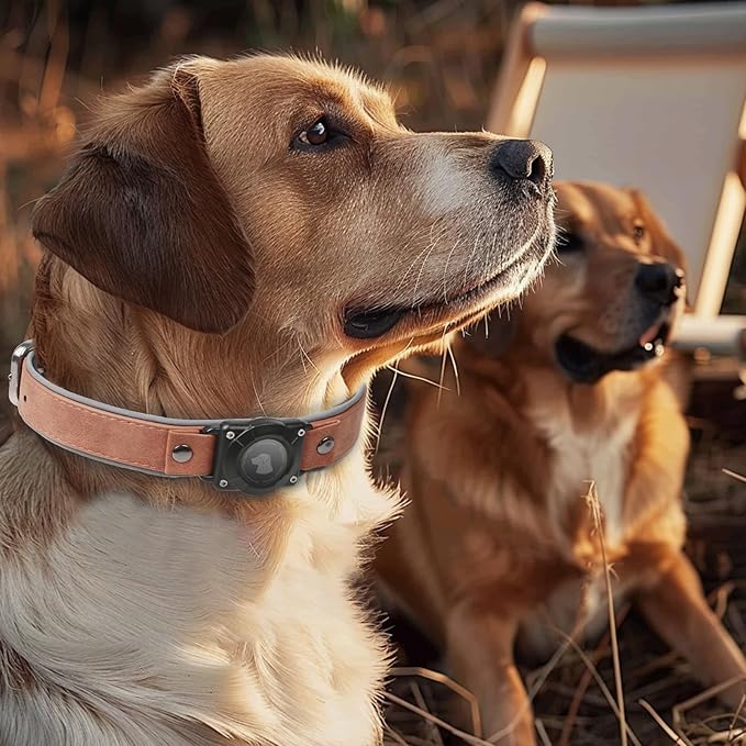 AirTag Dog Collar - Leather Dog Collar with Air Tag Holder | IPX8 Waterproof, Reflective, High - End, Adjustable Soft Padded | Dog GPS Tracker Collars Fit for Medium Large Dogs (Mahogany Brown, L)-Mewly Pet