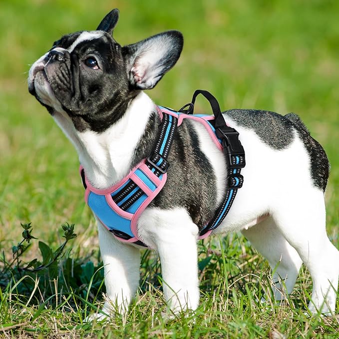 Eagloo Dog Harness Small Sized Dog, No Pull Service Vest with Reflective Strips and Control Handle, Adjustable and Comfortable for Walking, No Choke Pet Harness with 2 Metal Rings, Pink & Blue, S-Mewly Pet