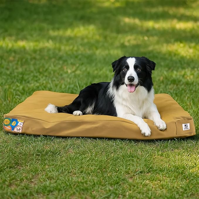 Sytopia 36-Inch Canvas Outdoor Dog Bed, Waterproof & Washable with Removable Cover, Ideal for Medium & Large Dogs, Chew-Proof Great for Indoor, Outdoor, Crate, or Patio Use (Yellow)-Mewly Pet