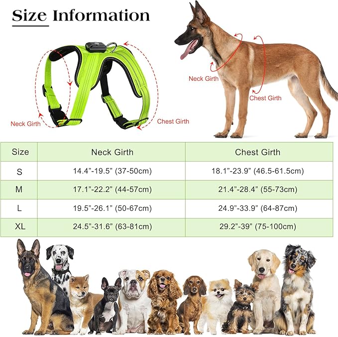 Light Up Dog Harness, Rechargeable LED Dog Harness with Battery Level Indicator, Adjustable Reflective Safety Vest for Night Walking, Soft Mesh Lighted Harness for Medium Large Dogs(5-90lbs)-Mewly Pet