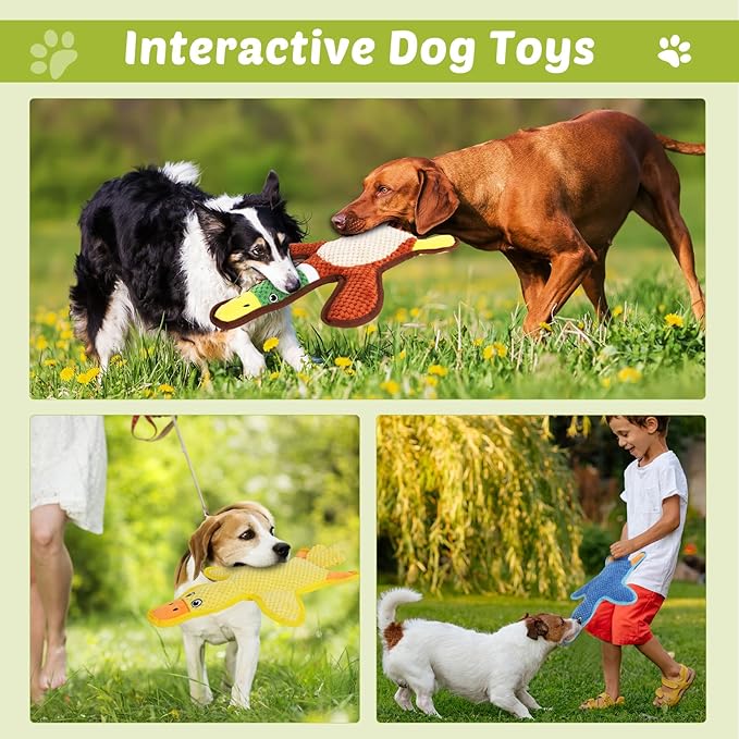 Dog Toys 3-Pack Cute Duck Shapes Puppy Toys No-Stuffing Squeaky and Crinkle Interactive Dog Chew Toy for Small to Large Breeds-Mewly Pet