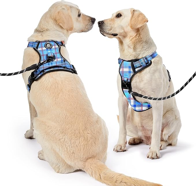 NESTROAD No Pull Dog Harness with Leash, Reflective No Choke Pet Vest Harness,Adjustable Soft Padded Dog Harness with Easy Control Handle for Large Dogs(Checkered Blue,X-Large)-Mewly Pet