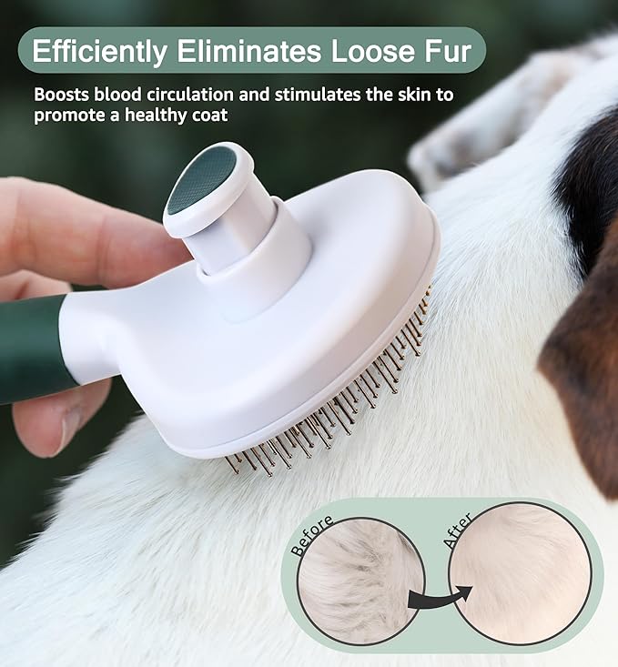 Pet Self-Cleaning Slicker Brush for Dogs & Cats, Deshedding Grooming Comb, Removes Loose Undercoat Hair & Mats, Skin-Friendly Massaging Tool for Long/Short Fur, Large & Small Breeds (Green)-Mewly Pet